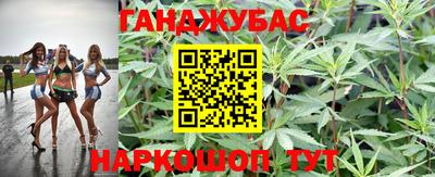 скорость Бердск
