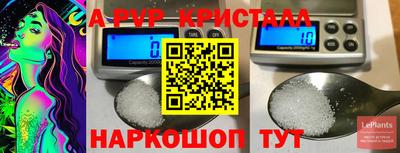 скорость Бердск