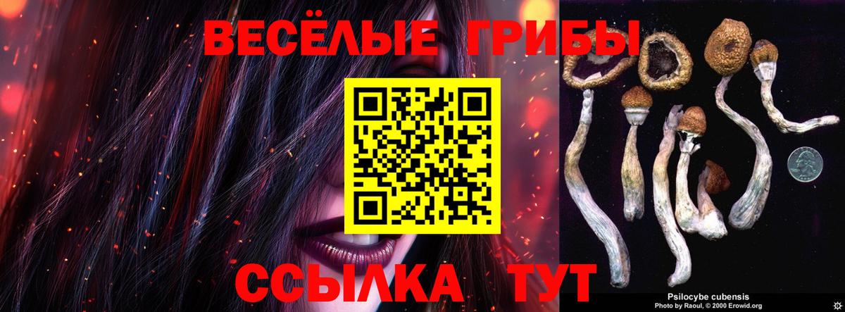 Горно-Алтайск  купить закладку  Вход с VPN  Галлюциногенные грибы MAGIC MUSHROOMS 